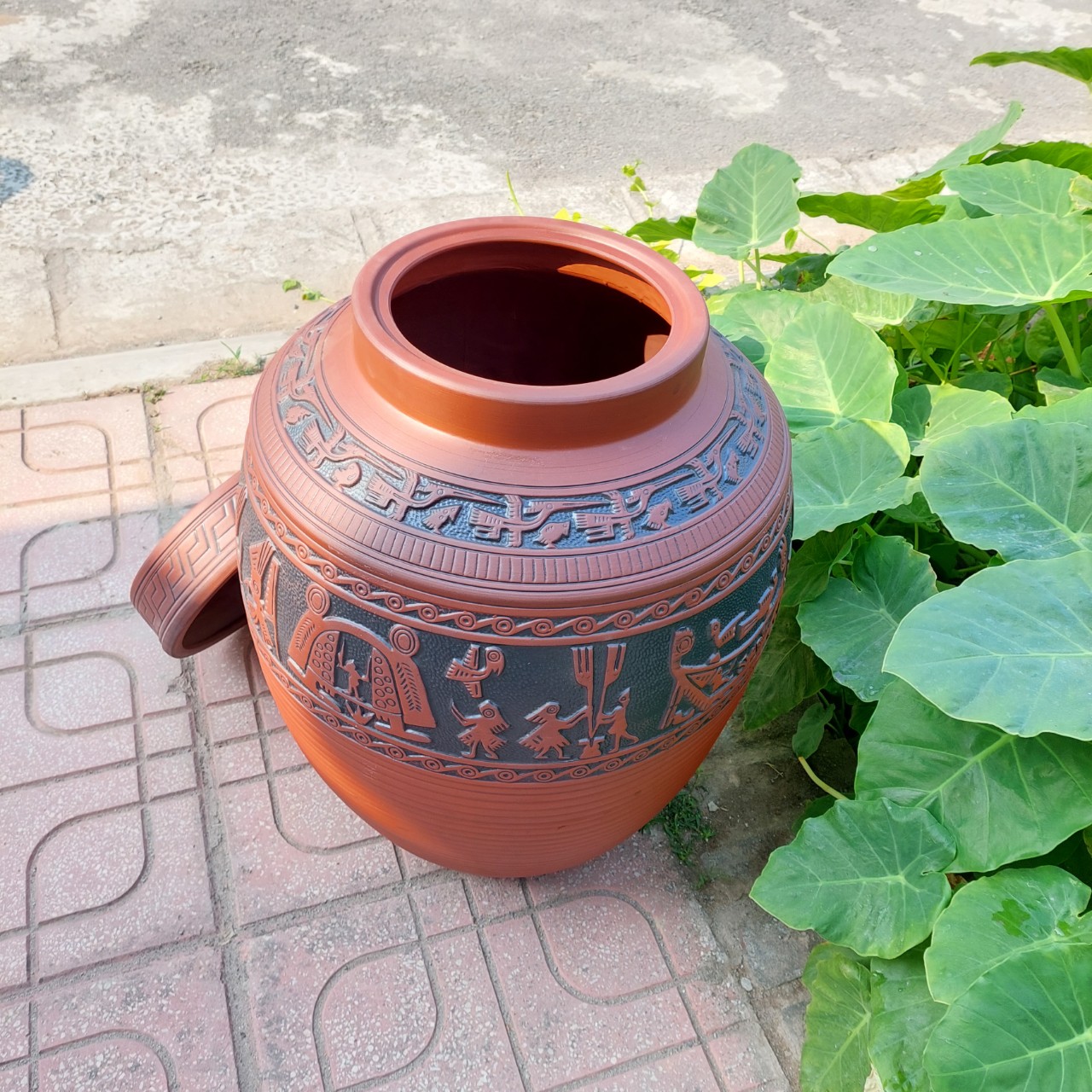 chum sành